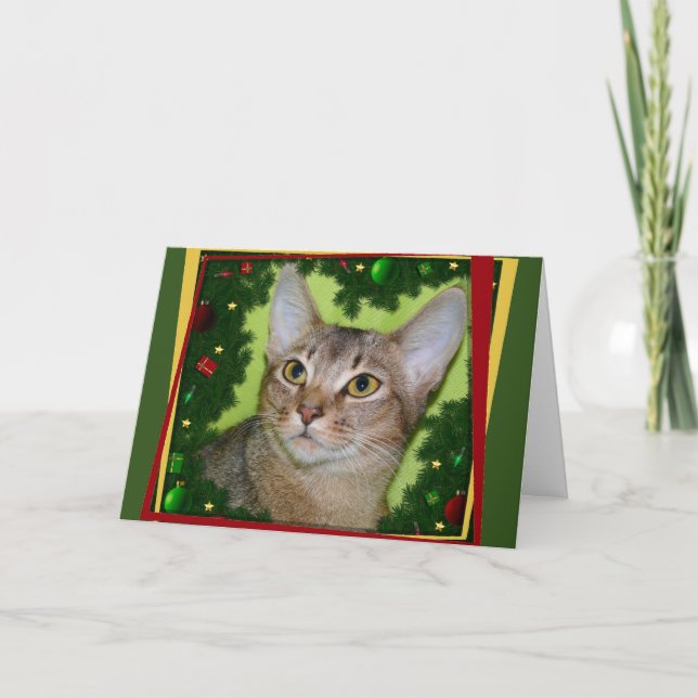 Cartes Pour Fêtes Annuelles Meowy Kismouse (Devant)