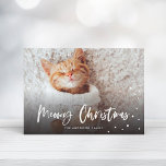 Cartes Pour Fêtes Annuelles Meowy Noël Chat à neige | Photo pour animaux<br><div class="desc">Célébrez la saison des Fêtes avec cette carte de vacances chic avec un script moderne qui dit "Meowy Christmas" et les chutes de neige.</div>