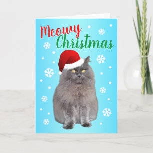 Cartes Pour Fêtes Annuelles Meowy Noël du chat