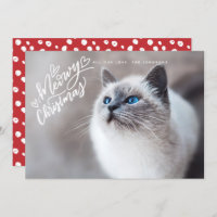 Meowy Noël Lettering Chat photo complète