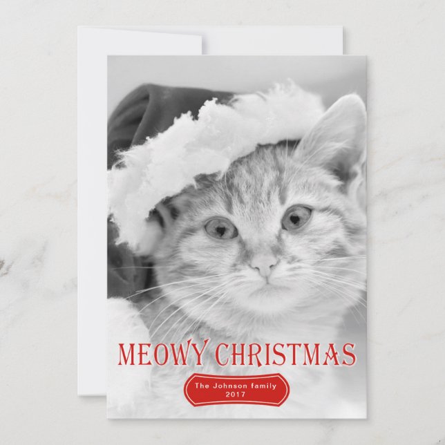 Cartes Pour Fêtes Annuelles Meowy Noël rouge chaton animal de compagnie photo  (Devant)