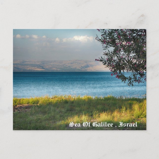 Cartes Pour Fêtes Annuelles Mer De Galilée, Israël (Devant)