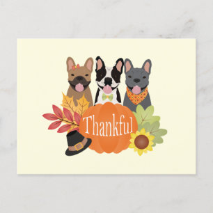 Cartes Pour Fêtes Annuelles Merci Bulldogs français Thanksgiving