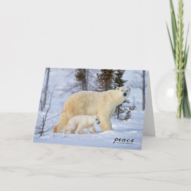 Cartes Pour Fêtes Annuelles Mère et petite fille d'ours polaires dans la tound (Devant)
