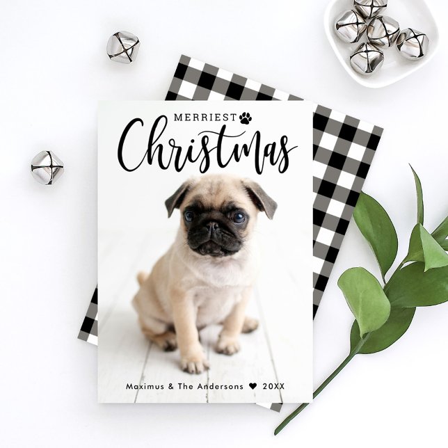 Cartes Pour Fêtes Annuelles Merriest Christmas Black Buffalo Plaid Pet (Créateur téléchargé)
