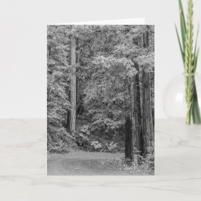 Cartes Pour Fêtes Annuelles Merry Adventures (Devant)