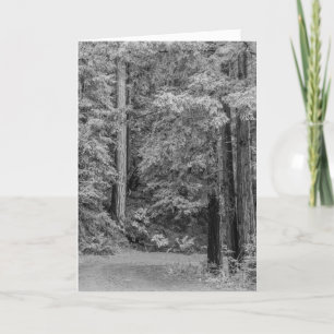 Cartes Pour Fêtes Annuelles Merry Adventures