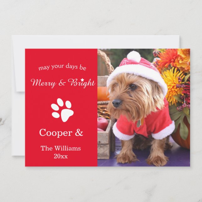 Cartes Pour Fêtes Annuelles Merry & Bright Custom Christmas Pet Photo Card (Devant)