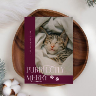 Cartes Pour Fêtes Annuelles Merry Cat Photo Cranberry Noël