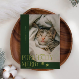 Cartes Pour Fêtes Annuelles Merry Cat Photo Vert Noël