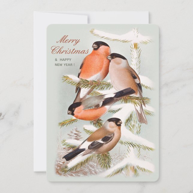 Cartes Pour Fêtes Annuelles Merry Christmas Bullfinches pin enneigé CC1058 (Devant)