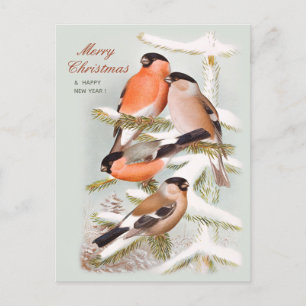Cartes Pour Fêtes Annuelles Merry Christmas Bullfinches snowy pine tree CC1059
