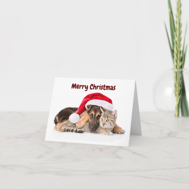 Cartes Pour Fêtes Annuelles Merry Christmas Cat and Dog holiday card (Devant)