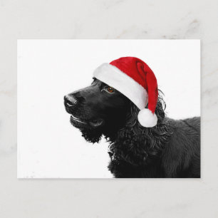 Cartes Pour Fêtes Annuelles Merry Christmas Cocker