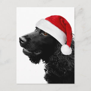 Cartes Pour Fêtes Annuelles Merry Christmas Cocker