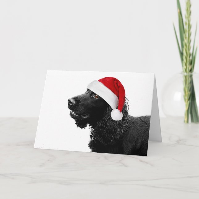 Cartes Pour Fêtes Annuelles Merry Christmas Cocker (Devant)