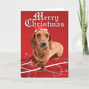 Cartes Pour Fêtes Annuelles Merry Christmas Dachshund Card