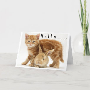 Cartes Pour Fêtes Annuelles **MERRY CHRISTMAS** de BUNNY & KITTY