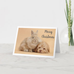 Cartes Pour Fêtes Annuelles **MERRY CHRISTMAS** de BUNNY & PUPPY