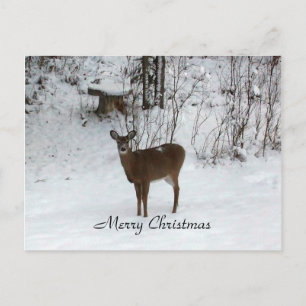 Cartes Pour Fêtes Annuelles Merry Christmas Deer