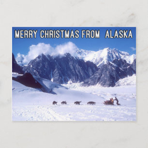 Cartes Pour Fêtes Annuelles Merry Christmas from Alaska Postcard