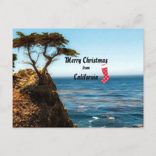Cartes Pour Fêtes Annuelles Merry Christmas from California