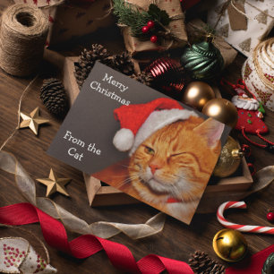 Cartes Pour Fêtes Annuelles Merry Christmas from the Cat
