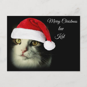 Cartes Pour Fêtes Annuelles Merry Christmas Luv Kat