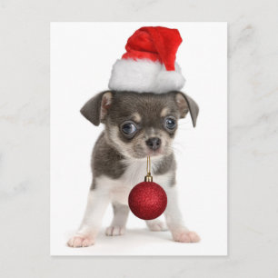 Cartes Pour Fêtes Annuelles Merry Christmas Puppy