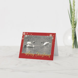 Cartes Pour Fêtes Annuelles Merry Christmas Swan Family