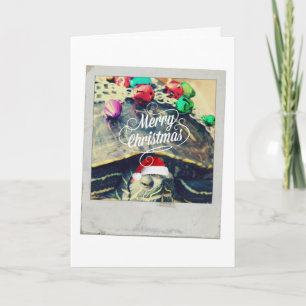 Cartes Pour Fêtes Annuelles Merry Christmas Turtle Vintage