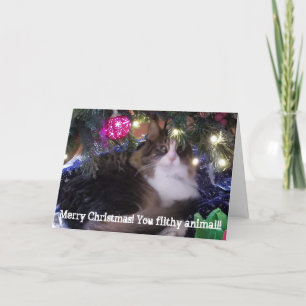 Cartes Pour Fêtes Annuelles Merry Christmas you filthy animal aloof cat