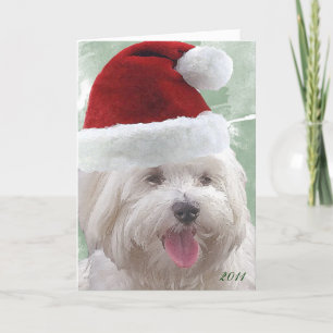Cartes Pour Fêtes Annuelles Merry Maltese