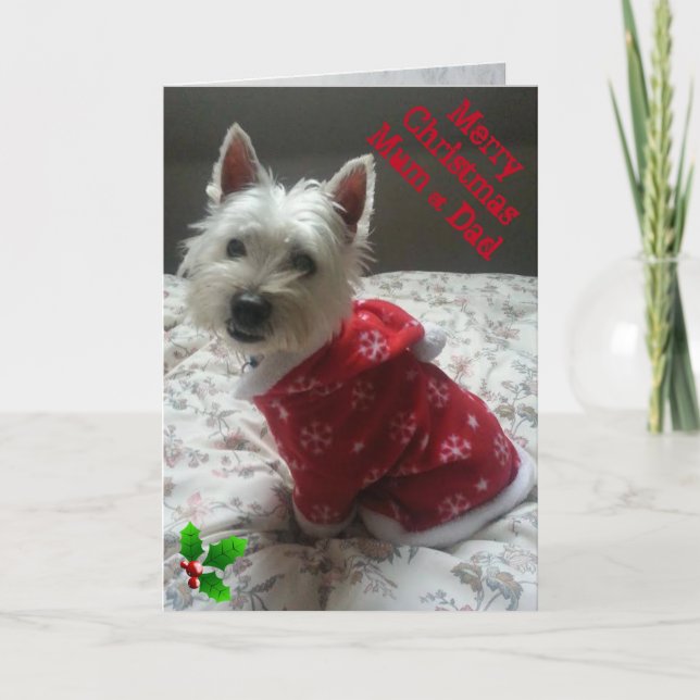 Cartes Pour Fêtes Annuelles Merry Westie Christmas Card Mum & Dad (Devant)