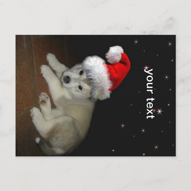 Cartes Pour Fêtes Annuelles Merry Xmas Puppy (Devant)