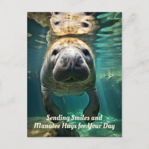 Cartes Pour Fêtes Annuelles Merveille de la main : Manatee personnalisable