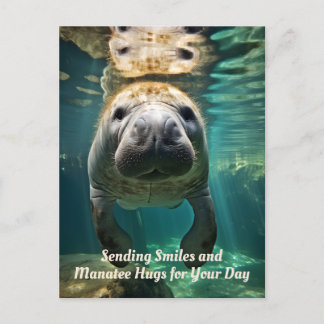 Cartes Pour Fêtes Annuelles Merveille de la main : Manatee personnalisable