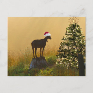 Cartes Pour Fêtes Annuelles Merveilles de chèvre solitaire à l'arbre de Noël