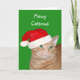 Cartes Pour Fêtes Annuelles Mewy Catsmus