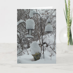 Cartes Pour Fêtes Annuelles Midwest Winter Snowbird Card Humour
