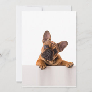 Cartes Pour Fêtes Annuelles mignon Bulldog | Vraiment mignon, Bulldog anglais