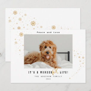 Cartes Pour Fêtes Annuelles Mignon C'est une vie merveilleuse Photo de Noël de