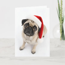 Mignon Faon de Pug avec Chapeau de Père Noël et Ye