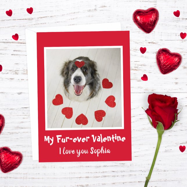 Cartes Pour Fêtes Annuelles Mignonne Border Collie chien Valentine's day amour (Créateur téléchargé)