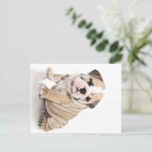 Cartes Pour Fêtes Annuelles Mignonne Chien-taupe Chien Triste