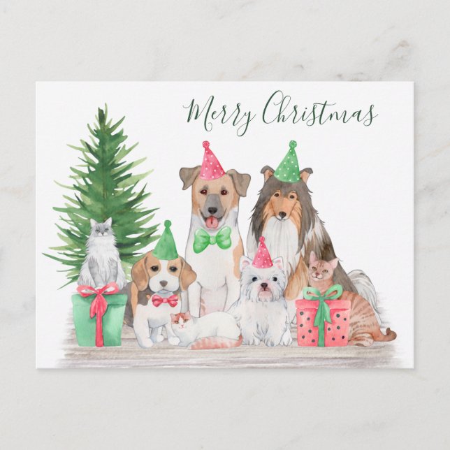 Cartes Pour Fêtes Annuelles Mignons animaux de Noël Chien Chat Chiot Chien Chi (Devant)