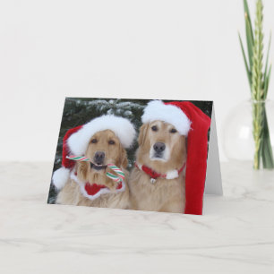 Cartes Pour Fêtes Annuelles Mignons Golden Retrivers de Noël