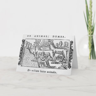 Cartes Pour Fêtes Annuelles Milking reindeers