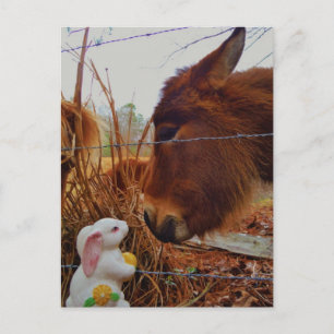 Cartes Pour Fêtes Annuelles Miniature cheval Brown et lapin de Pâques
