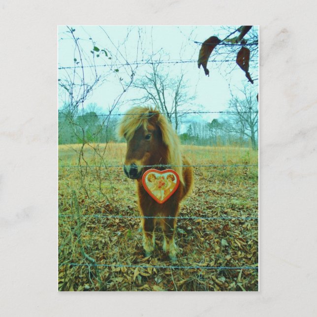 Cartes Pour Fêtes Annuelles Miniature cheval Brown Valentine Heart (Devant)